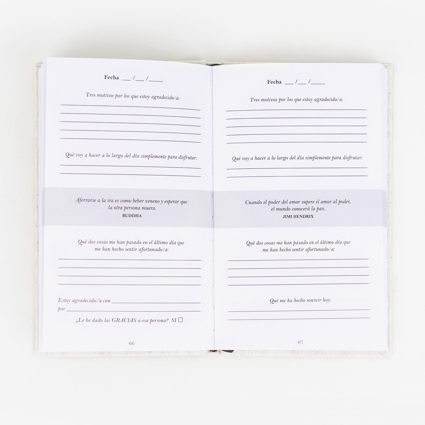 Interior del Diario de Gratitud