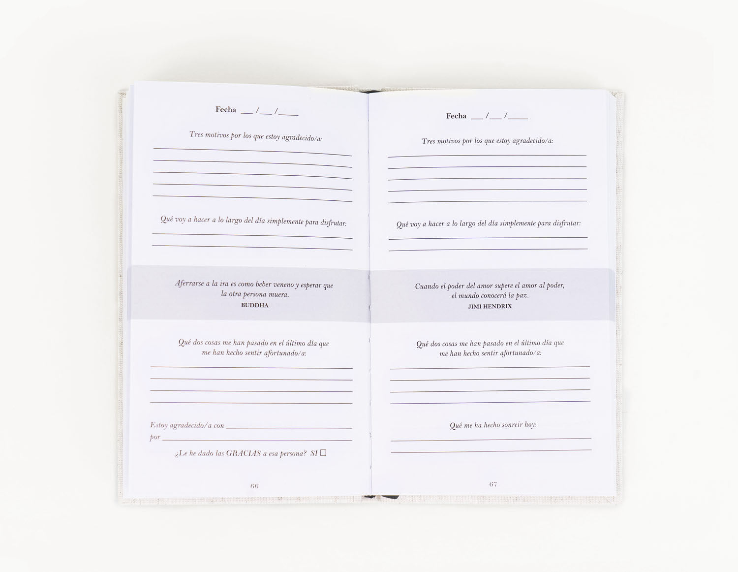 Interior del Diario de Gratitud.